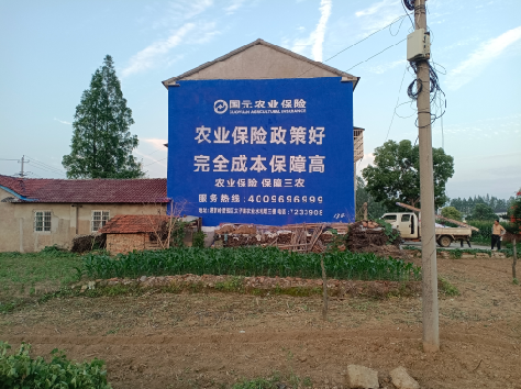 蚌埠墙体广告为何受追捧？